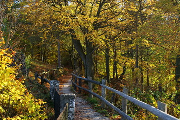 Naklejka premium Basilika Gößweinstein