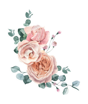 Watercolor hand drawn roses and eucalyptus bouquet.
