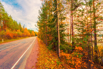 Turn the country broken road. Mixed forest. Sunset over the forest lake. Autumn weather. Beautiful nature. Russia, Europe. View from the side of the road.