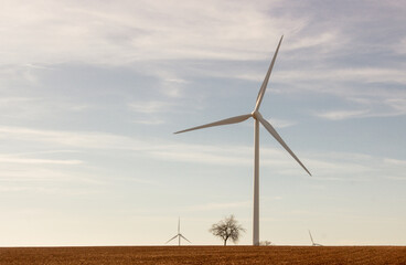 éoliennes dans un champ