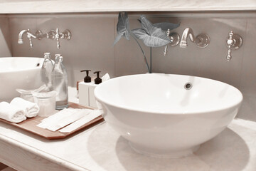 bathroom interior design whit white basin and bath amenities