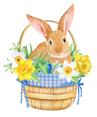 Watercolor rabbit, hare sitting in basket. Easter hand drawn illustration isolated on white background.