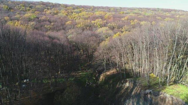 Flight over a forest gorge in autumn