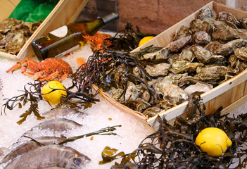 Fresh oysters in a market