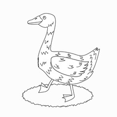 Cute goose white and black vector illustration for kid coloring book. Adorable bird in hand drawn doodle style.