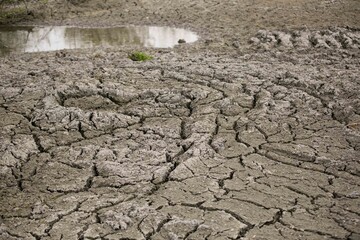 Dried up river bank in a wetland, climate change