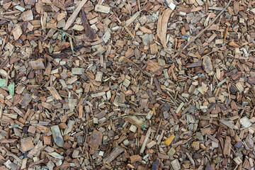 Texture of wooden sawdust of large fraction. A bunch of wood chip. Sawdust or wood dust texture background. Natural floor sensory path, barefoot on sawdust. 