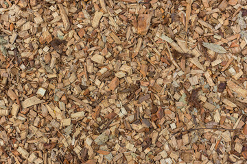 Texture of wooden sawdust of large fraction. A bunch of wood chip. Sawdust or wood dust texture background. Natural floor sensory path, barefoot on sawdust. 