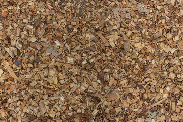 Texture of wooden sawdust of large fraction. A bunch of wood chip. Sawdust or wood dust texture background. Natural floor sensory path, barefoot on sawdust. 