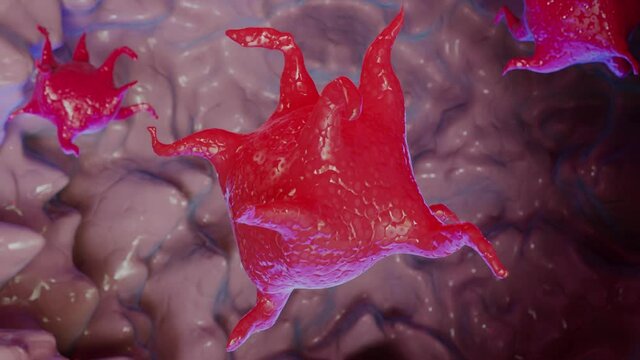 Animated Platelets, blood cell, 3d  render