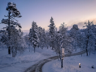 Winter landscape with trees and snow, Lapland