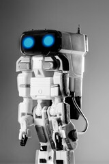 autonomous robot toy