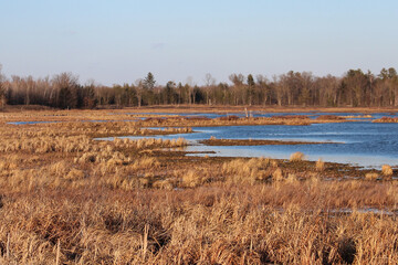 The Marsh in Early Spring