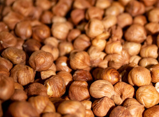 Close up of raw isolated hazelnuts