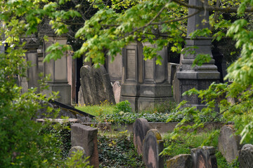 j&uuml;discher friedhof in worms