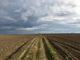 Fototapeta na wymiar plowed field and sky