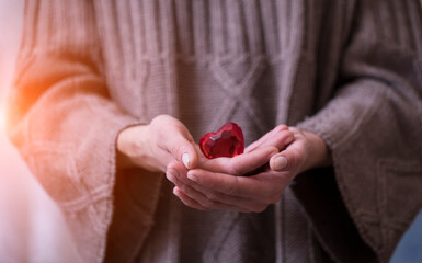 Female hands giving red heart. Heart. Love concept. 
