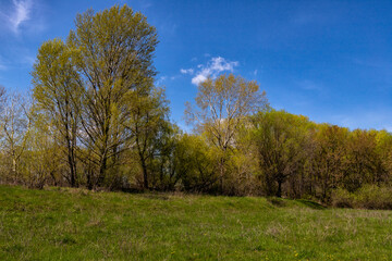 Beginning of May in a picturesque village in Poltava region. Ukraine 