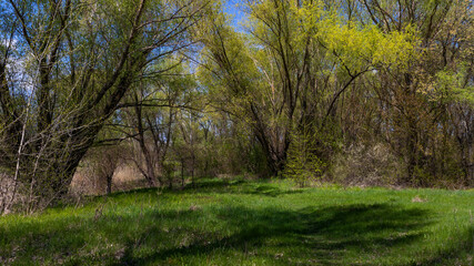 Beginning of May in a picturesque village in Poltava region. Ukraine 