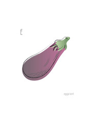 Eggplant in violet color. Vegetarian, vegan, healthy food. Hand drawn. Gradient. Color. Vocabulary. Vector illustration. Isolated on white.