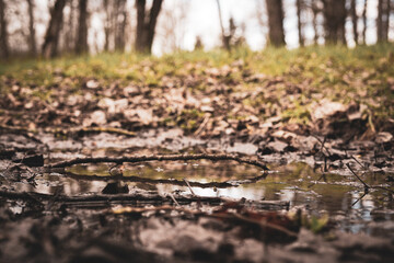 Fototapeta premium Puddle