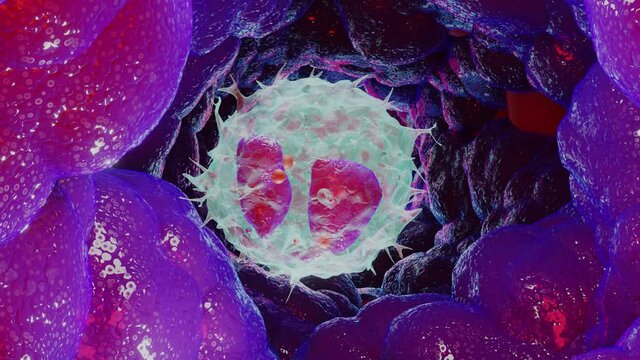 Animated Eosinophiles type Leukocyte cell, white blood cells, 3d  render