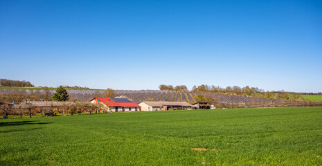 Solarfarm in ländlicher Umgebung