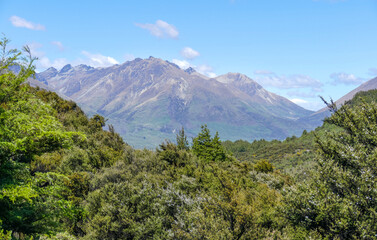 Mount Crichton Loop Track