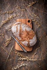 Wholegrain fresh baked bread overhead arrangement with kitchen knife on olive tree cutting board and wooden table with rye and wheat stalks studio shot
