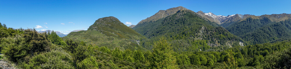 Fototapeta premium Mount Crichton Loop Track