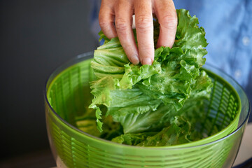 Woman Putting Lettuce in Salad Spinner