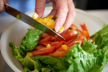 Woman Preparing Salad
