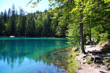 Le Lac Vert, Passy	