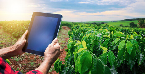 Farmer with tablet computer on the coffee plantation field countryside at sunset. Space for text.