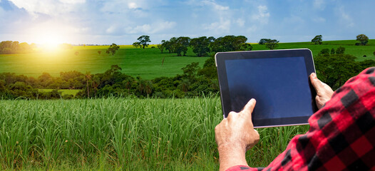 Farmer with tablet computer on the sugar cane  plantation field countryside at sunset. Space for...