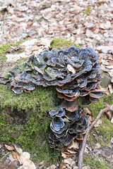 Nordwohlder Wanderwege (