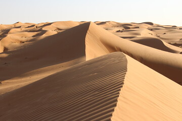 Dunes of Wahiba sands, Oman