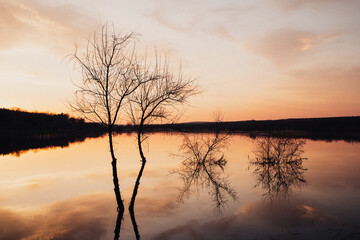 Mysterious lake landscape photo. Trees silhouettes without leaves reflection on a water.