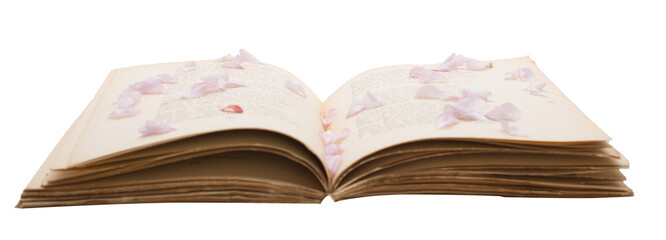 Traditional recipe, old book - natural remedies.