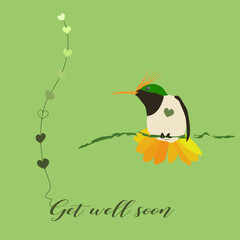 Get well soon vector text illustrated with a Hummingbird in cartoon style looking for a heart line on green background. Hand Lettering for greeting card, prints and posters. 
