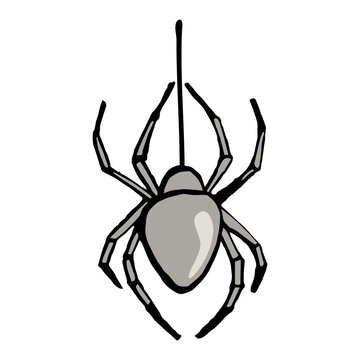 Spider on web illustration. Isolated on white background.