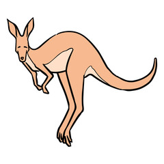Hand drawn jumping kangaroo color vector illustration