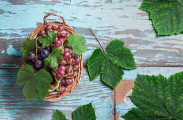 Red grapes in woven basket with green leaves overhead colorful arrangement on old rustic blue wooden table studio shot