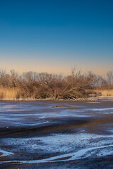 Drained pond with remnants of water. In the background are trees. The sky is blue.