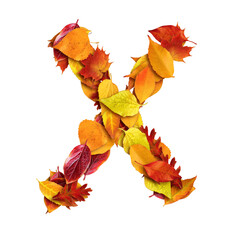 alphabet made of leaves, autumn, letter x