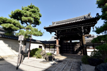 Obraz premium 要法寺 表門 京都市