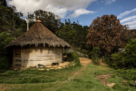 boh&iacute;o en R&aacute;quira  