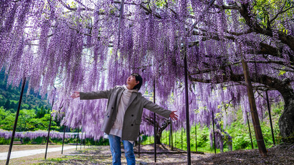 藤の花と台湾人女性