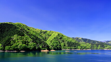 新緑の奥多摩湖