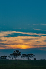 mexico_natural_jungla_mar_verde_azul_cascadas_conchas_arboles_piedras_agua_hojas_arena_montañas_atardecer_autopista